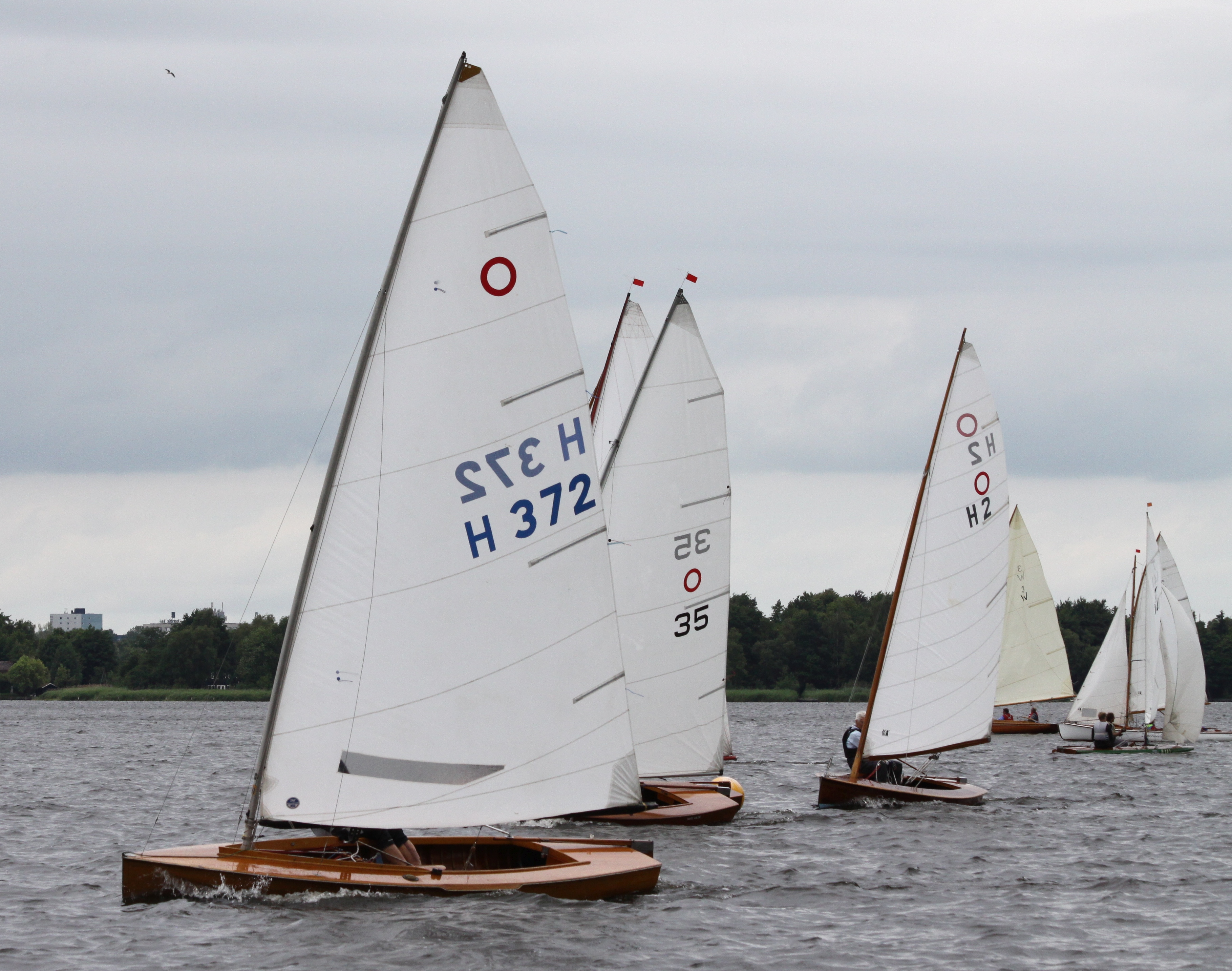 Oud-Zeilend-Hout Evenement 2023
