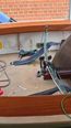Video van WhatsApp op 2025-06-08 om 14.54.33_99e9b706