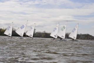 PHOTO-2026-04-29-17-10-41