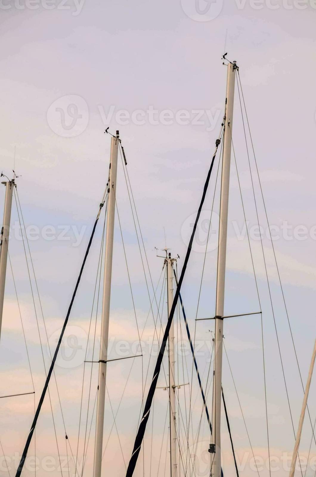 Gevraagd: Mast